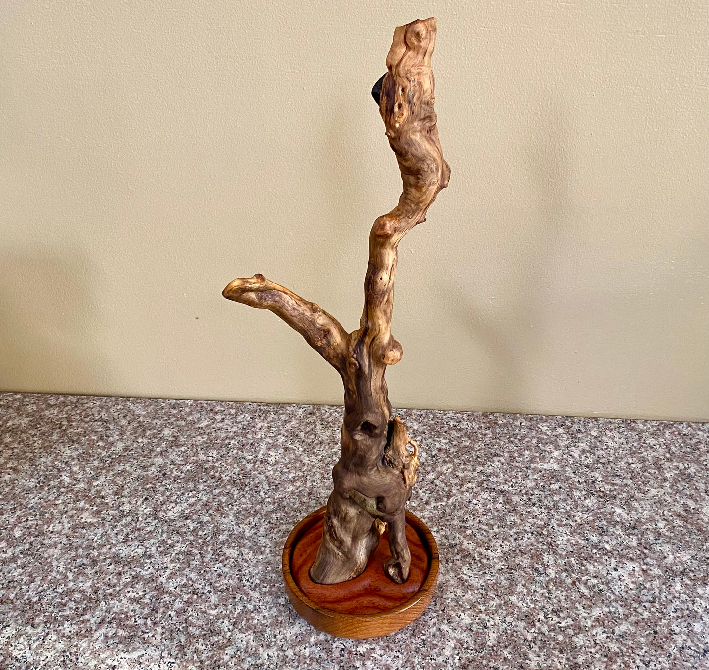 Small Bonsai Sculpture