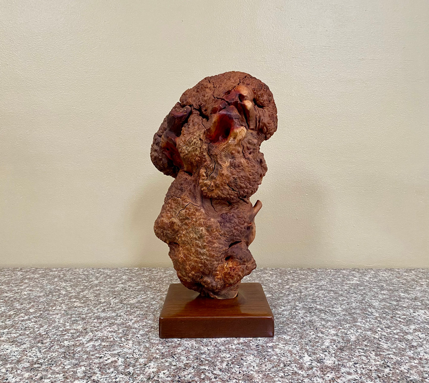 Manzanita Burl Sculpture