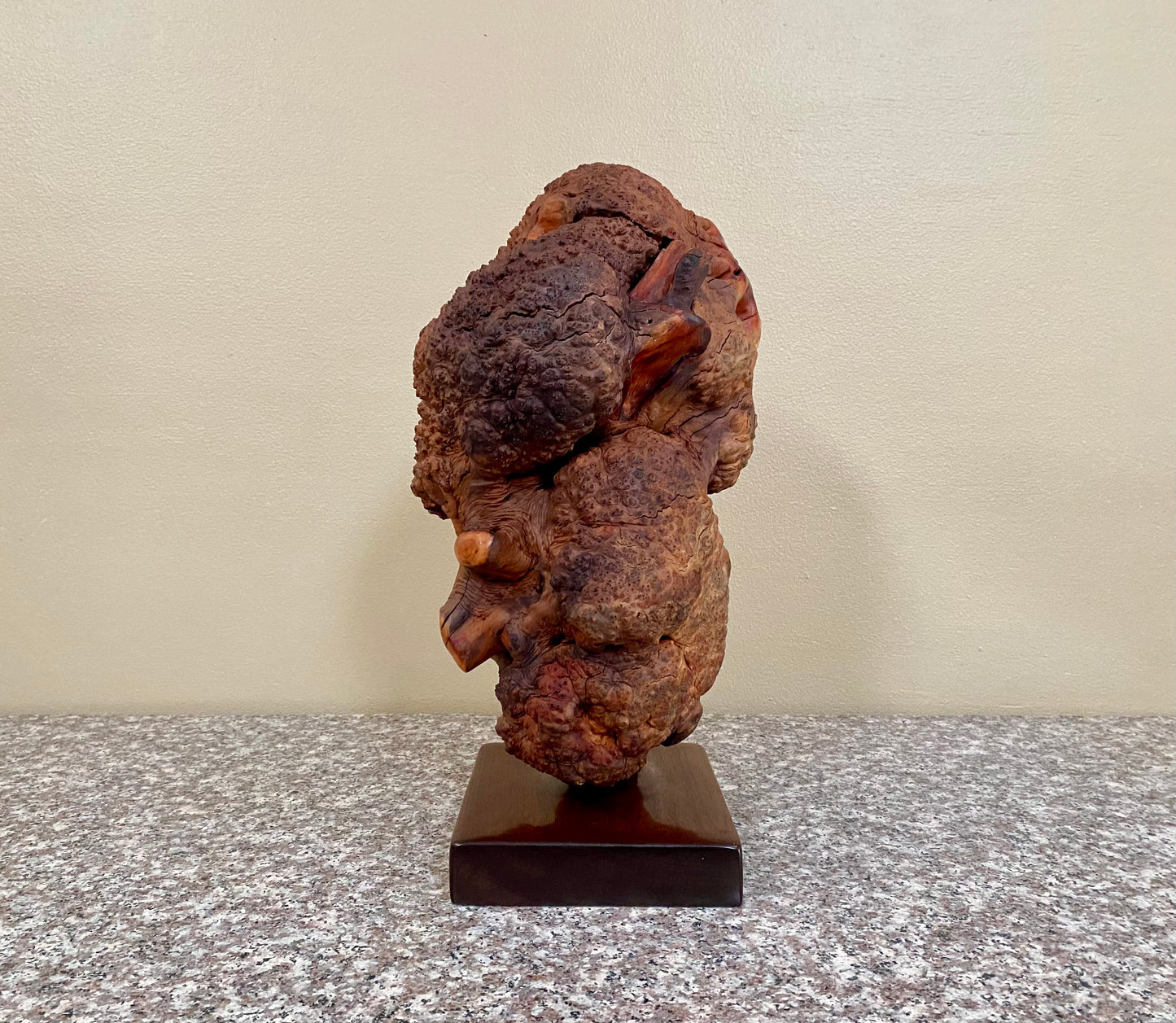 Manzanita Burl Sculpture