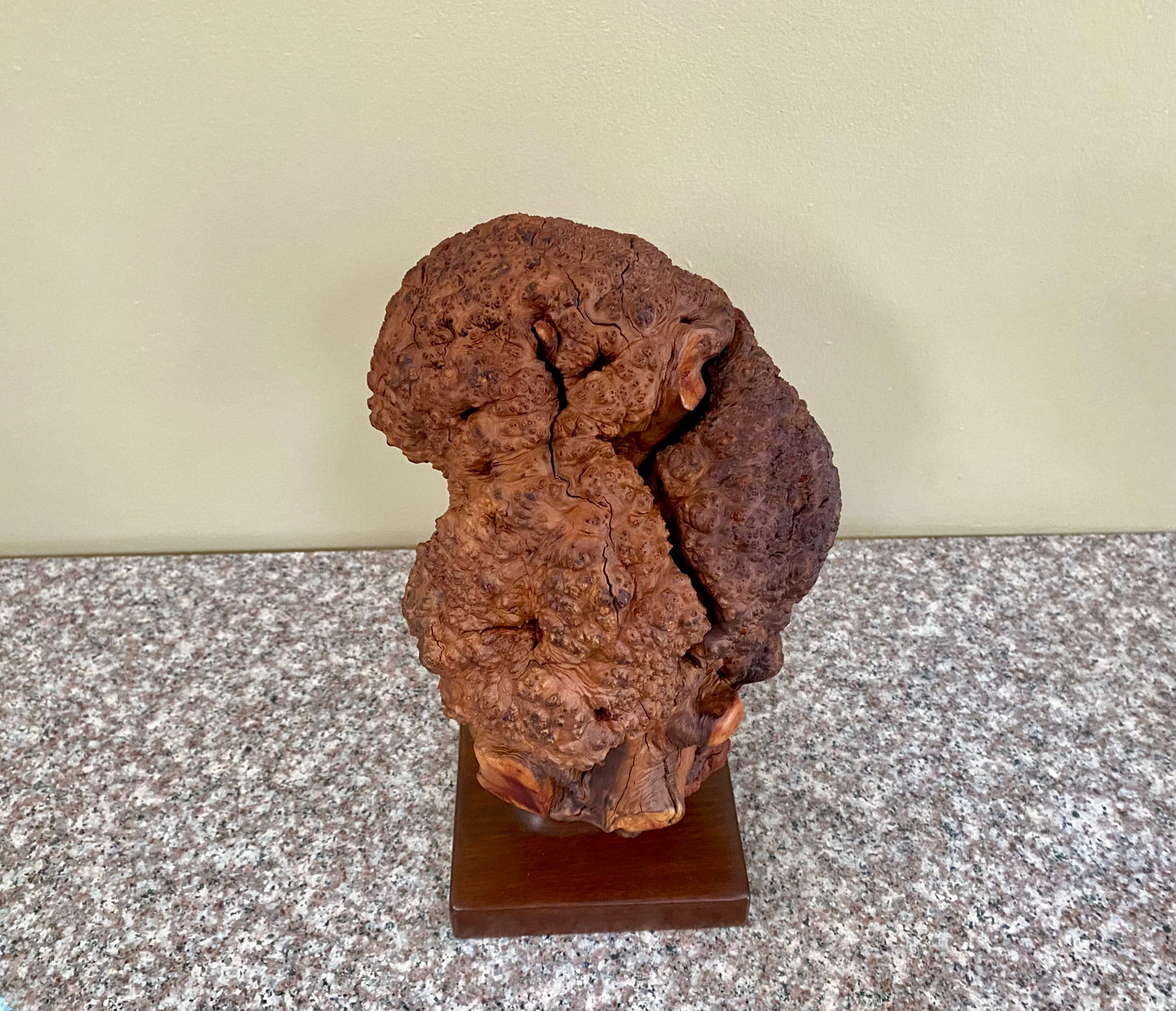 Manzanita Burl Sculpture